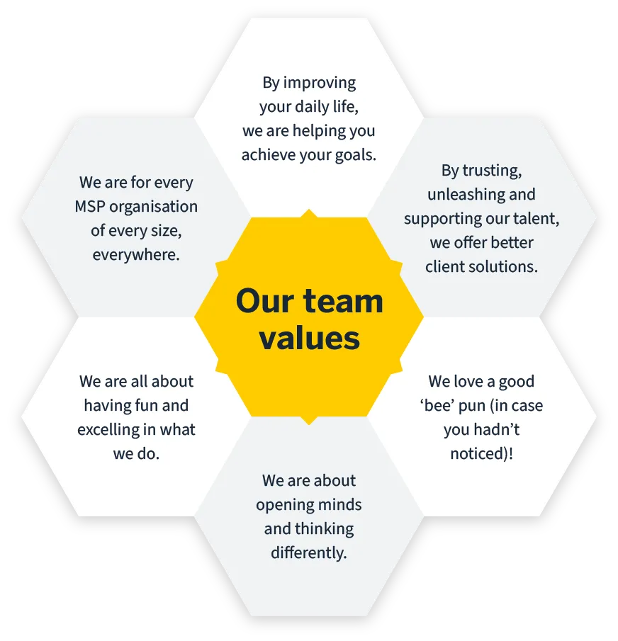 Our team values