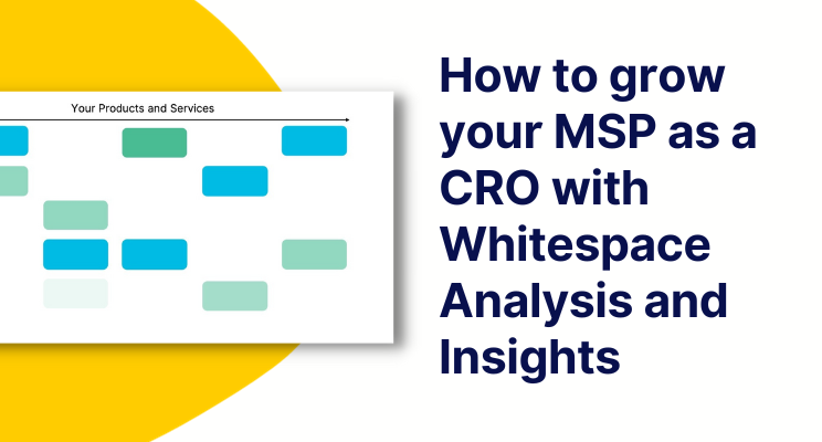 Thumbnail of How a CRO can leverage whitespace analysis to drive revenue growth in an MSP